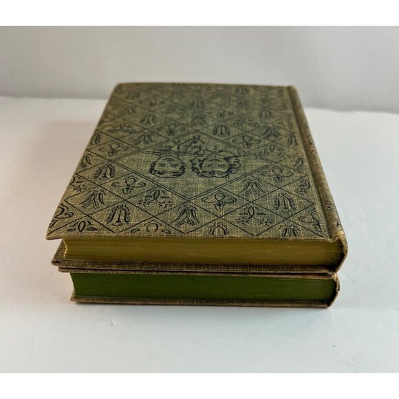 Two Bobbsey Twins Books On A Ranch and The Bobbsey Twins Laura Lee Hope - Picture 4 of 13